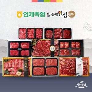 [설 명절] 인제축협/농협안심한우 프리미엄 한우 선물세트 (정육/구이 세트)