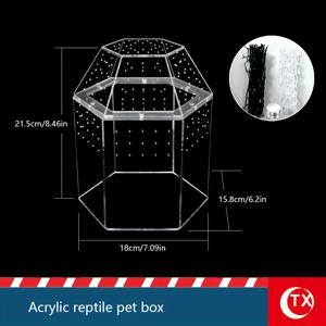 TEMU 투명 아크릴 반려동물 급식 상자, 육각형 디자인 파충류 급식 텐트, 점프 거미, 기어, 파충류 서식지 액세서리, 늑대 거미, 전갈, 도마뱀, 뱀, 도마뱀, 곤충 등에 적합, 통풍 구멍, 탈출 방지 강력한 자기 커버, 조립 필요 없음, 초보자에게 적합, 크리스마스 할로윈 선물