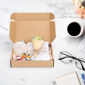 TEMU 21X11X4Cm (8.27X4.33X1.57