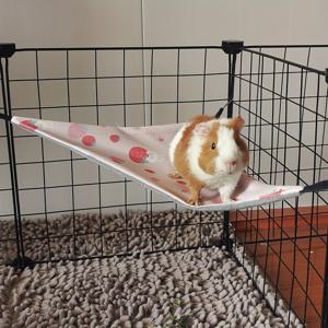 TEMU 새로운 햄스터 페럿 냉각용 매달린 침대 햄스터 삼각형 매달린 침대 꿀 가방 다람쥐 애완동물 매달린 침대 작은 애완동물 여름 매달린 침대