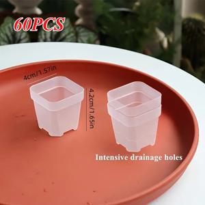 TEMU 60개 투명 플라스틱 사각 묘목 화분, 4cm/1.57인치 미니 발아 화분, 배수구 포함, 선인장, 허브, 다육식물 씨앗 심기용