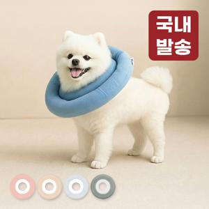 TEMU 레토 강아지 고양이 넥카라 방수 초경량 대형견 소형견 LNC-C01