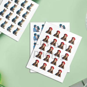 TEMU 라벨 용지로 제작된 맞춤 사진 전사 스티커는 컵, 책, 옷장 등 다양한 표면에 적용할 수 있습니다. 브랜딩 및 기업 홍보에도 사용됩니다.