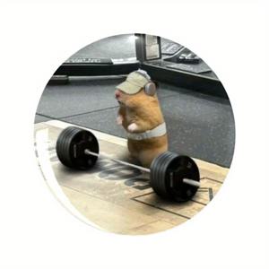 TEMU 귀여운 햄스터 체중.lift 브로치 핀 - 의류, 모자, 배낭을 위한 재미있는 금속 및 플라스틱 패션 액세서리 - 친구, 동기, 동료를 위한 완벽한 선물 - 생일, 휴일, 졸업, 재미있는 핀을 위한 이상적인 선물