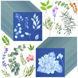 TEMU 60장의 시안타입 종이 태양 인쇄 키트 고감도 태양 종이 화이트 솔라 액티베이션 자연 태양 프린팅 키트 성인용 드로잉 페이퍼 공예 DIY 프로젝트 (밝은 색상)