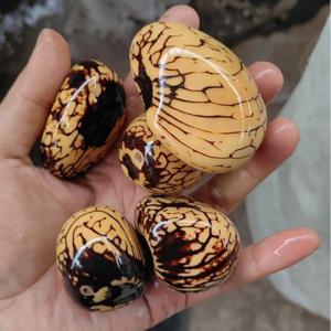 TEMU 핸드폴리쉬 너트 핸드헬드 패턴 펜던트