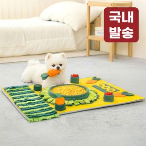 TEMU 레토 강아지 대형 담요 당근밭 장난감 포함 80x60 LDG-NW01