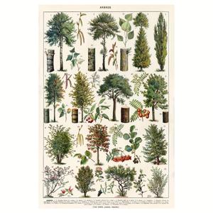 TEMU 빈티지 프랑스 식물 캔버스 포스터 - 아돌프 밀로트 아브레스 B, 프레임리스 30.48x45.72cm, 거실, 침실, 사무실, 또는 카페 장식용 세부적인 나무 삽화, 식물 벽화 | 빈티지 식물 디자인 | 내구성 있는 캔버스, 2D 평면, 방 장식에 완벽합니다.