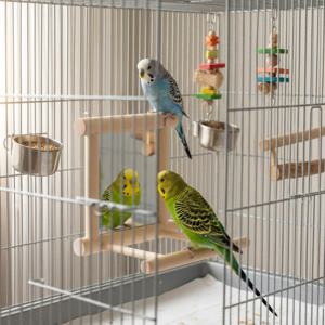 TEMU 나무 앵무새 횃대 & 거울이 있는 서식지 - 작은 앵무새, 코카티엘, 버디, 러브버드에 적합한 튼튼한 등반 나무 - 새장 액세서리, 실내외 사용 가능한 내구성 있는 나무 횃대