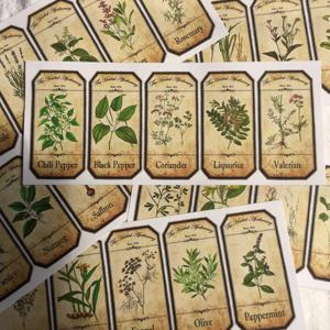 TEMU 30개의 빈티지 식물 스티커, 잡지, 플래너 장식용 특수 재질 종이, 쌀 종이 접착 프린트