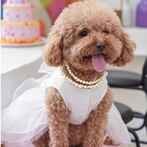 TEMU 애완견 공주 드레스, 포멀 가운, 웨딩 드레스, 신상 봄/여름 스타일, 강아지 발레 튜튜, 고양이 푹신한 스커트, 푸들/비숑 생일 파티 의상, , 비숑, 폼페라니안, 강아지, 소형 애완동물 의류|강아지옷