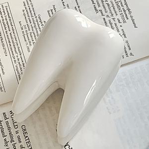 TEMU 치아 모양 세라믹 칫솔 홀더 & 치약 모양 독립형 미니 치과 복제품 - 욕실 싱크대, 카운터탑, 화장대용 현실적인 치아 디자인 - 장식용 치과 액세서리 선물