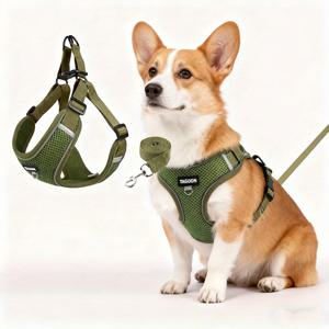 TEMU QQLE 반사 노풀 강아지 하네스 & 리드 시스템 - 소프트 메쉬 조절형 조끼, 소형/중형/대형 강아지 & 고양이용, 야간 훈련 제어, 세탁기 사용 가능 펫 기어 (소형, 중형, 대형 적합)