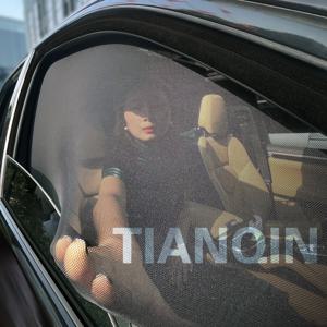 TEMU 통기성 좋은 차량 측면 창문 모기장 - 자외선 차단, 고탄성 메쉬로 개인 정보 보호 및 쉬운 설치