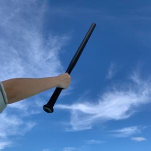 TEMU 블랙 초박형 배트 훈련용 스틱