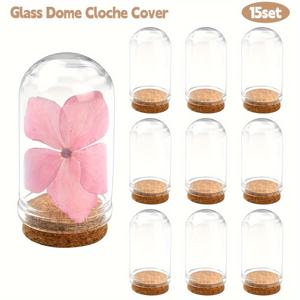 TEMU 코르크 받침이 있는 15개의 투명 유리병, 미니 보관용기, 드라이 플라워 디스플레이, 파티 선물, DIY 공예용 작은 병