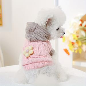 TEMU 애완동물을 위한 플로럴 할로우 니트 후드티. 봄, 가을에 완벽하며, 산뜻하고 편안한 스타일을 제공합니다. 비숑, 포메라니안, 테디 강아지와 같은 소형견에게 적합하며, 털옷 친구를 즐겁게 합니다.