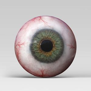 TEMU 냉장고에 적합한 원형 메탈 냉장고 자석은 냉장고, 홈 데코, 사무실 장식에 적합하며, 휴일 및 특별한 날을 위한 완벽한 선물입니다. 냉장고 자석 | 문화 벽 스티커 | 내구성 좋은 자석.