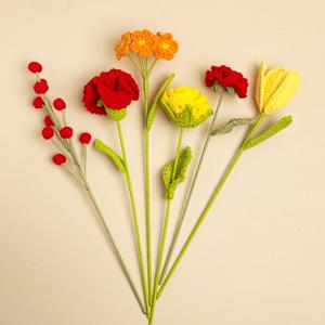 TEMU 6개 코바늘 뜨개질 뜨개실 꽃다발 세트, 발렌타인데이, 어버이날, 스승의 날 선물, 절친, 어머니, 할머니, 생일 선물, 튤립, 카네이션, 장미, 모란, 영원한 꽃, 다양한 장식용 꽃에 적합