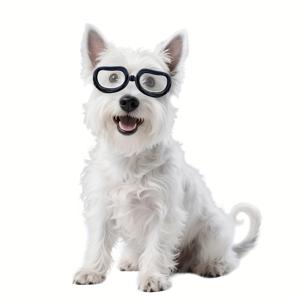 TEMU 투명 개 고글 소형견용, 패션 스타일 강아지 안경, 라이딩 보호, 탄력 스트랩 포함, 쉽게 착용/조절 가능