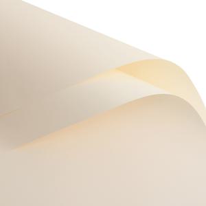 TEMU 30장, 발렌타인데이 솔리드 컬러 우아한 종이 마카롱 한국 스타일 첫사랑 부케 포장지, 방수 꽃 포장지, 꽃집 용품, 부케 용품, 선물 포장지, 신선한 꽃 포장지, 선물 포장, 웨딩 포장, 모든 행사용 장식