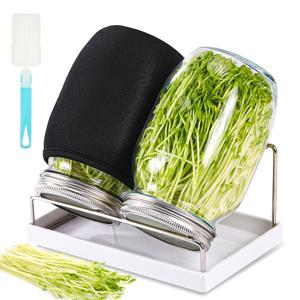 TEMU 씨앗 발아 키트, 발아용 병 2개 세트, 와이드 마우스 쿼트 사이즈 메이슨 병 (스테인리스 스틸 메시 발아용 뚜껑 포함), 브로콜리, 콩, 알파파 등 씨앗 발아용 1000ml 발아 재배 키트