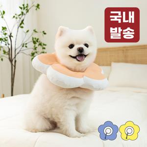 TEMU 강아지 넥카라 플라워 방수 초경량 LNC-F02