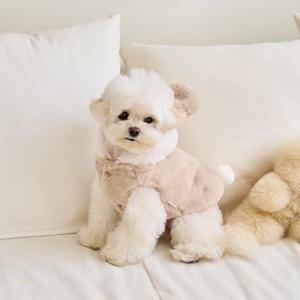 TEMU 가을/겨울용 강아지와 고양이를 위한 따뜻한 재킷, 곰돌이 변신 의상, 반려동물 조끼, 고양이 옷, 강아지 옷