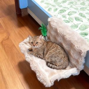 TEMU 두꺼운 부드러운 플러시 고양이 침대, 사계절 사용 가능한 걸이형 애완 동물 해먹/고양이 둥지, 털 빠짐 없이 세탁기 사용 가능, 안정적인 무게 지지력을 위한 드릴링 불필요, 새끼 고양이와 성인 고양이 모두에게 적합