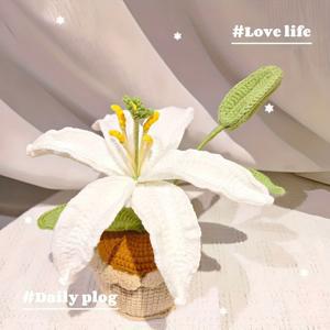 TEMU 새해 핸드메이드 코바늘 뜨개질 흰색 백합 발렌타인데이 선물, 연인, 어르신, 선생님, 침실, 거실, 사무실 데스크탑 장식 장식품