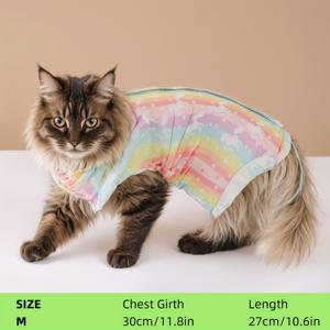 TEMU 수술 후 애완동물 회복용 슈트 1개 - 살짝 핥는 방지 디자인의 부드러운 원단, 통기성 메쉬 패널 및 조절 가능한 배 밴드 소형견/고양이용, 중성화 수술 보호, 쉽게 청소 가능