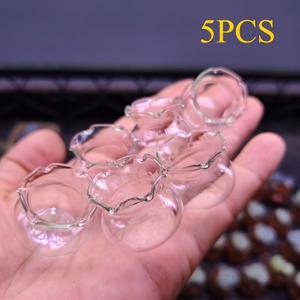 TEMU 미니 꽃병 5개 세트, 레이스 어항 정원, 미니 유리 다육이 화분, 데스크탑 장식 가드닝 선물 홈 데코