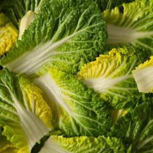 요즘 유행 제철 봄동 특가! (봄동비빔밥/봄동 겉절이용)