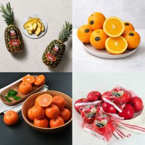 수입/국내과일 모음전! (오렌지/파인애플/사과/만감류 외)