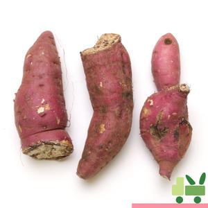 고구마 5Kg (파지)