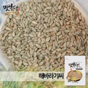 2025년 해바라기씨 불가리아산 5kg