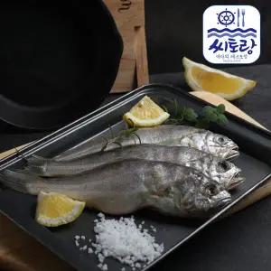 [씨토랑]영광법성포 참굴비 20미 1.8kg