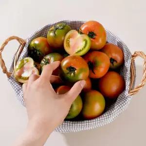 꺼비네농수산 부산 대저 짭짤이 토마토 S-3S 로열과 찐단짠