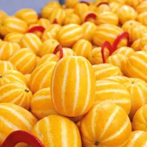 아삭달달 가정용 성주 참외 2kg 중소과 (9-12과내외)