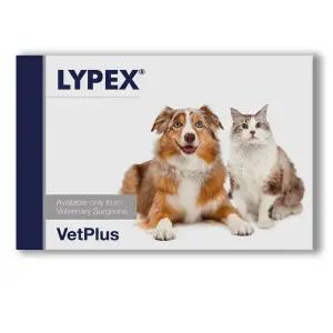 벳플러스 라이펙스 60캡슐 소화기 췌장