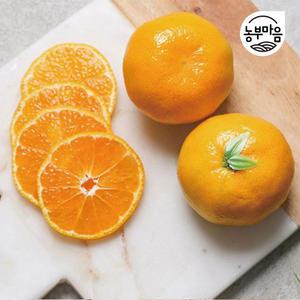 [장터할매]새콤달콤 제주 조생 감귤 3kg/5kg/10kg 귤