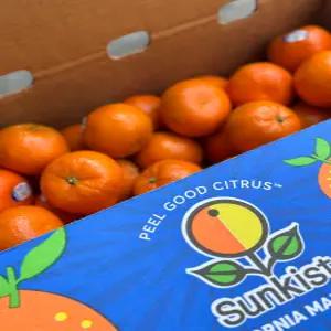 미국산 만다린 귤 선키스트/돌 혼합 2kg 3kg 가정용