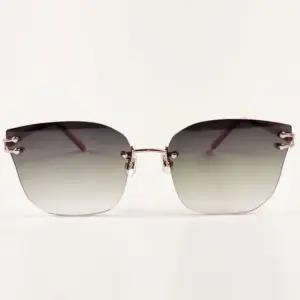 헐리우드 1001 무테선글라스 펑키라이언