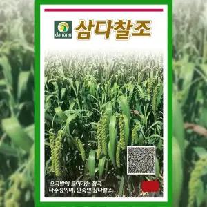 [파머씨드]삼다찰조 씨앗 30g 채소 종자 텃밭 주말 농장 베란다