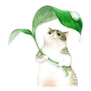 큐티 고양이 벽지 스티커 토기 시트지 인테리어 소품