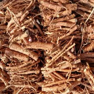 이형민두릅종근(10센치 약150개)1kg 여름두릅ca2602