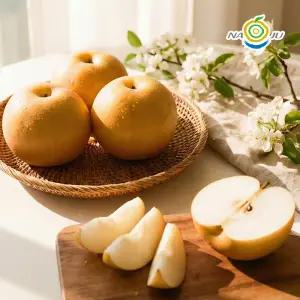 고당도 나주배 3kg 5kg GAP인증 프리미엄 명품 신고배 가정용