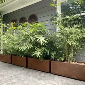 금속화분 연꽃 도로용 초대형 녹슨 야외용 박스