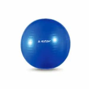 짐볼 55cm 펌프 블루 공 볼 요가 용품 필라테스 킨볼