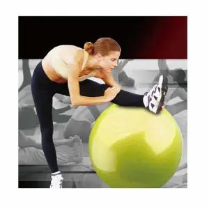 짐볼 일반 임산부 운동 1개